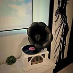 The Oasis - Retro Modern Vogue
